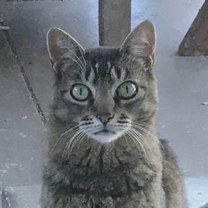 Meet your Posher, Theresa